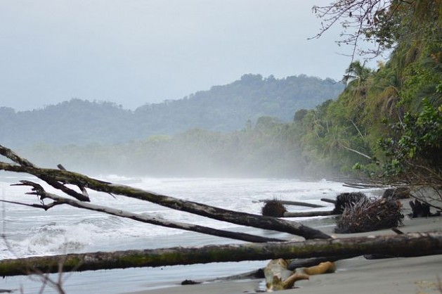 Waves and high tides are eating away at the beaches in Costa RicaÃ¢Â€Â™s Cahuita National Park, where the vegetation is uprooted and washed into the sea. Credit: Diego Arguedas/IPS
