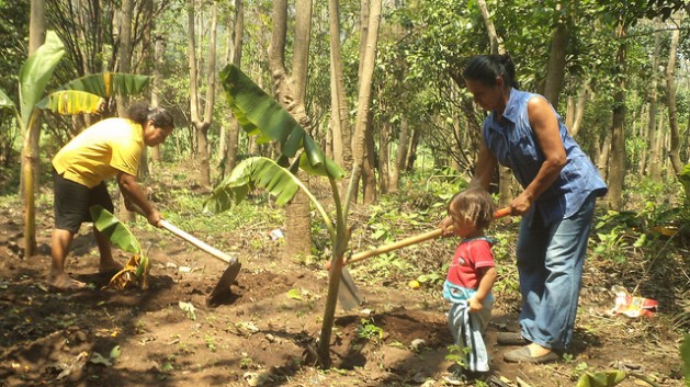 Salvadorans Elsy ÃƒÂlvarez and MarÃƒÂ­a Menjivar Ã¢Â€Â“ with her young daughter Ã¢Â€Â“ planning plantain seedlings in a clearing in the forest. Credit: Claudia ÃƒÂvalos/IPS