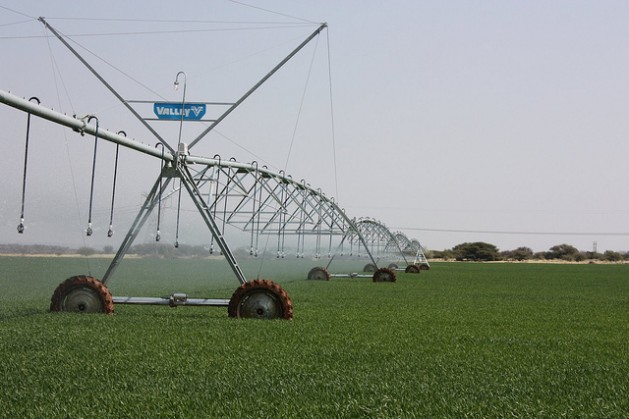An irrigated field in Kakamas, South Africa. Due to weak land tenure found in many African countries, large land transfers place local communities at significant risk of dispossession or expropriation. Credit: Patrick Burnett/IPS