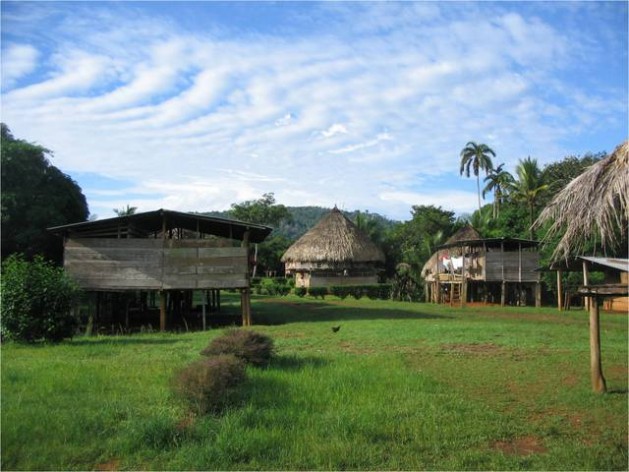EmberÃƒÂ¡ dwellings in a clearing in the rainforest. The EmberÃƒÂ¡-Wounaan territory covers nearly 4,400 sq km and the indigenous people want to manage the riches of their forest to pull their families out of poverty. Credit: Government of Panama