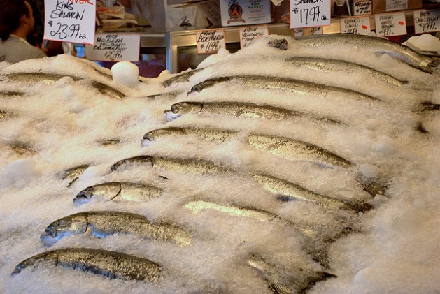 Some 60 major U.S. food retailers have already pledged not to sell GE salmon. Credit: Kevin Galens/cc by 2.0