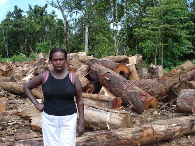 Customary landowners in the Solomon Islands and Papua New Guinea, both rainforest nations in the Southwest Pacific Islands, are suffering the environmental and social impacts of illegal logging. Credit: Catherine Wilson/IPS