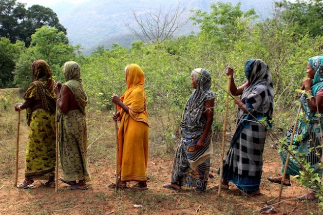Women from the Gunduribadi tribal village in the eastern Indian state of Odisha patrol their forests with sticks to prevent illegal logging. Credit: Manipadma Jena/IPS