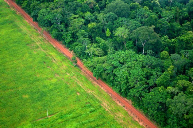 Deforestation is one of the main sources of greenhouse gas emissions by the Global South, such as in this area of Rio Branco in the northern Brazilian state of Acre. Credit: Kate Evans/Center for International Forestry Research (CIFOR)