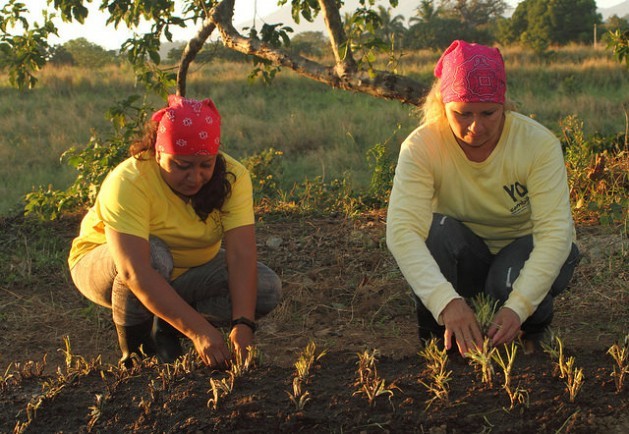 Jannete Salvador and Doris Zabala plant chives on the Izalco prison farm for women in the western Salvadoran department of Sonsonate. The government is extending the use of farm work and other activities in prisons to keep inmates active and productive. Credit: Edgardo Ayala/IPS