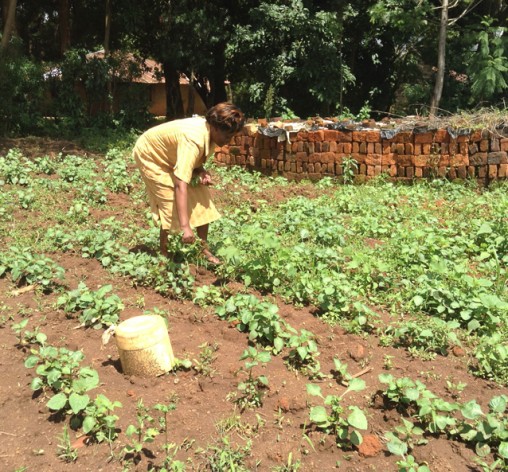 Jessca Muhonje, a resident of Busia County in western Kenya tending to her vegetable garden. Credit: Justus Wanzala/IPS
