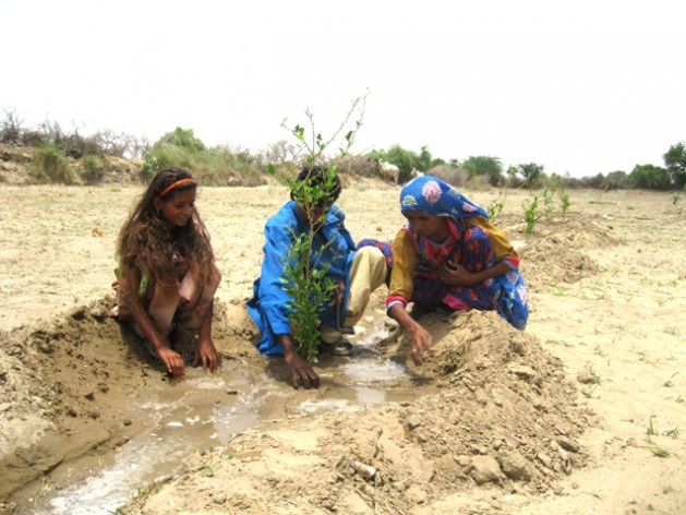 Zainab Samo, along with her son and daughter, planting  a lemon seedling on her farm in Oan village in Pakistan’s southern desert district of Tharparkar, to fight desert’s advance and for windbreak. Credit: Saleem Shaikh/IPS
