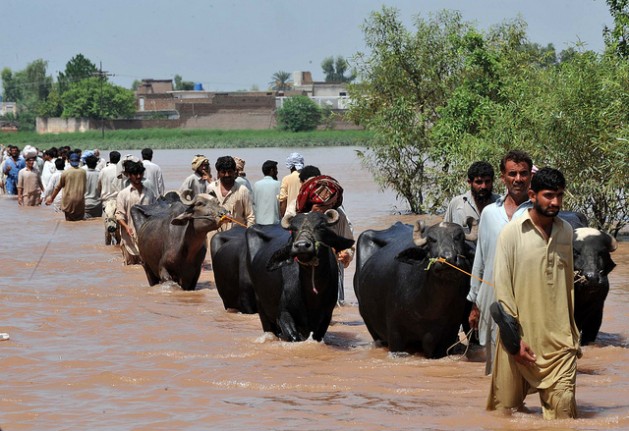 Displaced people fleeing Sindh streamed into Balochistan. Credit: Abdul Majeed Goraya/IRIN