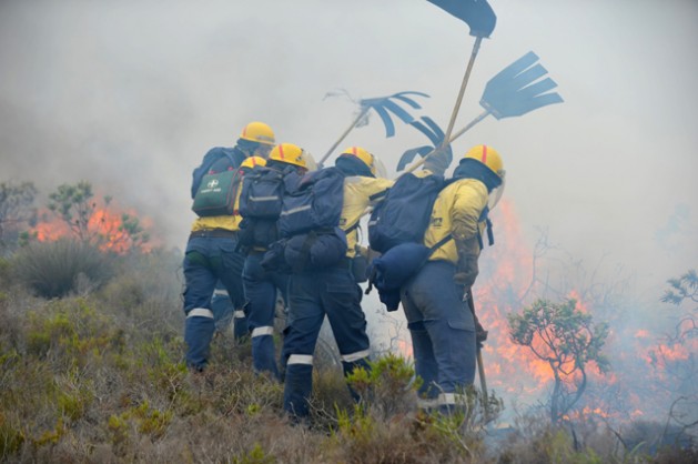 Fire fighters from Working on Fire on fire line at recent Muizenberg fires. Credit: IPS-WoF1