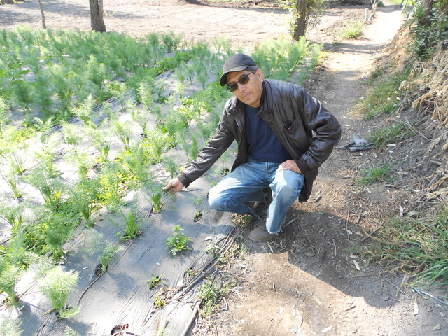 David Jiménez, a local farmer, next to medicinal herbs grown on his land in San Gregorio de Atlapulco in the Mexico City borough of Xochimilco, where chinampas continue to survive - an age-old Aztec technique that creates farmland out of the local wetlands. Credit: Emilio Godoy/IPS