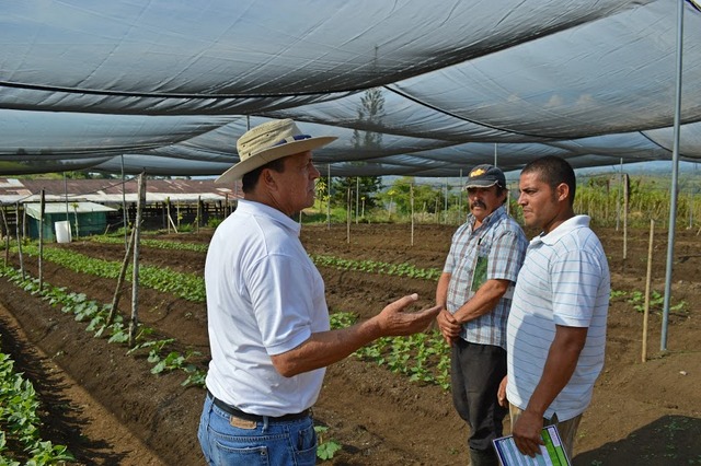 FAO expert Guillermo Murillo (wearing a hat) talks to family farmers in the settlement of Los Reyes in southeast Costa Rica about techniques for improving production in their shade houses. Credit: Diego Arguedas Ortiz/IPS