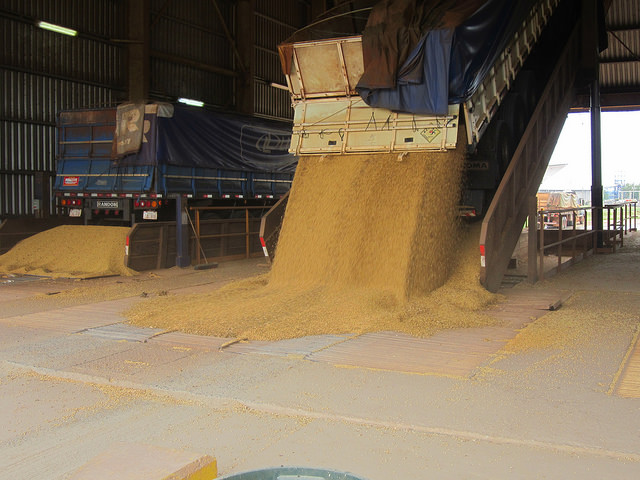Trucks unload soybeans in the Angostura Agroindustrial Complex SA (CAIASA). This is the start of the soybeans’ journey through the plant, where they are turned into soymeal or soybean oil, which are exported on barges along the Paraguay river, from the industrial park in Villeta, Paraguay. Credit: Mario Osava/IPS