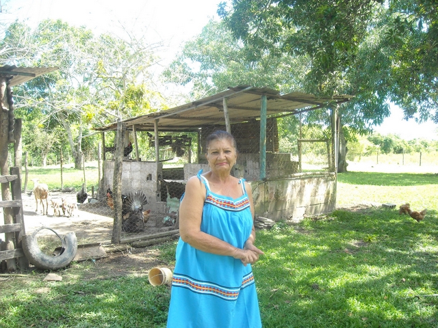 Aura Canache, in front of one of her sheep enclosures on her small farm, less than one hectare in size, located 130 km from Caracas, in the Barlovento farming region in the coastal area of northern Venezuela. She has had difficulty accessing credit to help run her farm. Credit: Estrella Gutiérrez/IPS