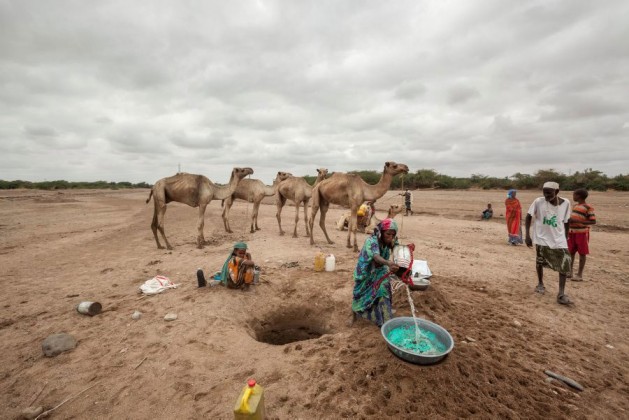 In Somaliland and Puntland, close to two million people are affected by the drought amid the El Niño phenomenon. Somalia is a member of the League of Arab States. Photo credit: WFP/Petterik Wiggers