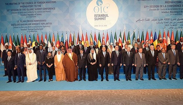OIC summit in Istanbul. Credit: Courtesy of the OIC
