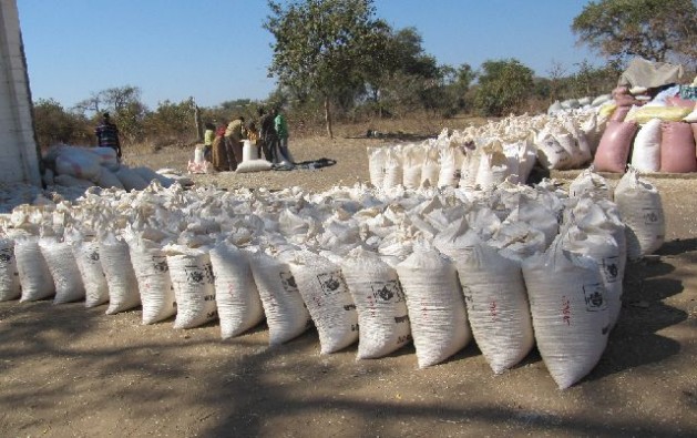 Bags of maize at the Food Reserve Agency Depot in Kasiya, Pemba district, Southern Zambia. Credit: Friday Phiri/IPS
