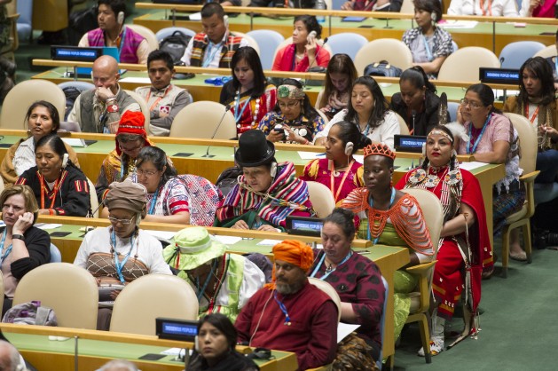 Opening of the Fifteenth session of the Permanent Forum on Indigenous Issues. UN Photo/Rick Bajornas.
