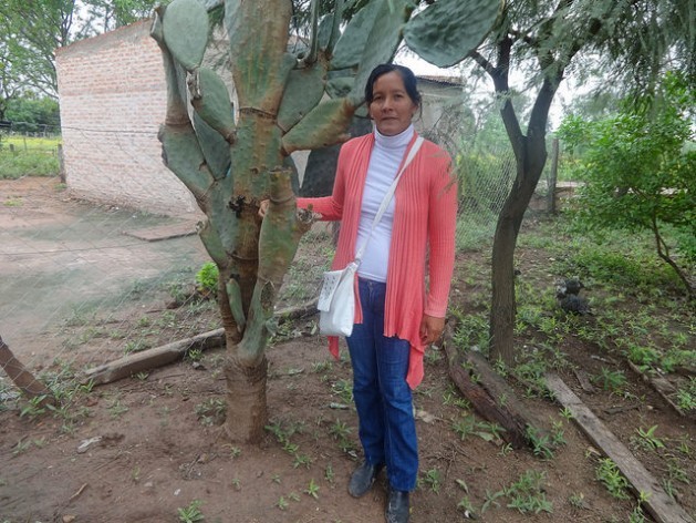Marta Maldonado, secretary of the “Siempre Unidos Minifundios de Corzuela” association, standing next to a prickly pear, a cactus that is abundant in this municipality in the northern Argentine province of Chaco. Making use of the fruit and the leaves of the plant has changed the lives of a group of local families. Credit: Fabiana Frayssinet/IPS