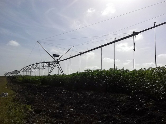 Low water in a nearby reservoir prevented the use of this central pivot machine for spray irrigation on the state-owned La Yuraguana farm for several days this year due to the severe drought affecting Holguín province and many other areas in Cuba. Credit: Ivet González/IPS