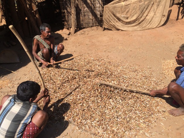 A village in the Kalahandi district in the state of Odisha in India. The district still grapples with lack of basic amenities, low crop productivity, and malnutrition. The depleting harvest forces villagers to depend on other forms of manual labor. Credit: Smriti Das