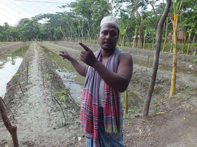 Bangladeshi farmer Aktar Hossain using the Sarjan model. He just planted eggplant (known locally as brinjal) worth 700 dollars and released fish worth 240 dollars. Hossain expects a profit of 1,200 dollars by the end of the season. Credit: Naimul Haq/IPS