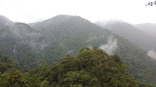 Tapantí National Park lies east from the capital San José covering more than 50.000 hectares of forest, which in turn provides valuable watershed protection. Picture: Diego Arguedas Ortiz / IPS