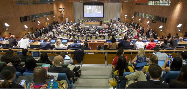 Ministerial Segment of the High-level Political Forum on Sustainable Development Goals. Credit: UN Photo/Manuel Elias.
