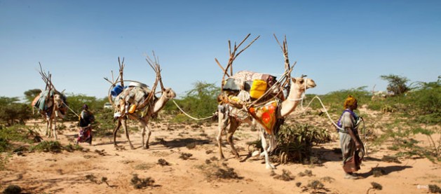 Land degradation - Sustainable land management: do nothing and you will be poorer. Credit: UNEP