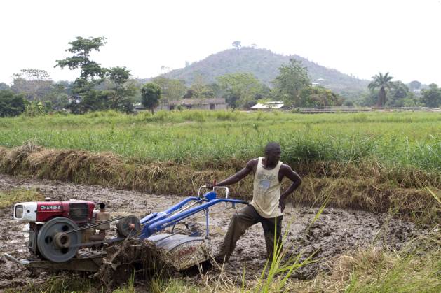 In Sierra Leone, Emmanuel Kargbo, a 26-year-old farmer, pushes a motorised soil tiller recently given to his farming cooperative. Before he was trained to use it, it would take him more than twice as long to do it by hand. Getting technology into the hands of farmers is critical since global food production needs to increase by 70 percent by 2050 in order to feed an additional 2.3 billion people, and food production in developing countries needs to almost double. Credit: Damon Van der Linde/IPS
