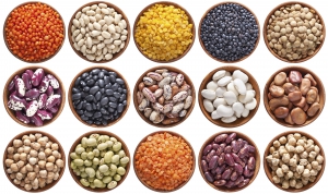 A key message of the 2016 International Year of Pulses is that pulses are highly nutritious—the little seeds are packed with nutrients, and are a fantastic source of protein. Photo: Courtesy of FAO