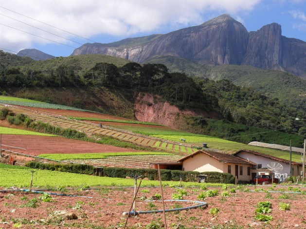  A family farm in the state of Rio de Janeiro,Brazil, with a planting system adapted to the manifestations of climate change in the area. Credit: Fabiola Ortiz/IPS