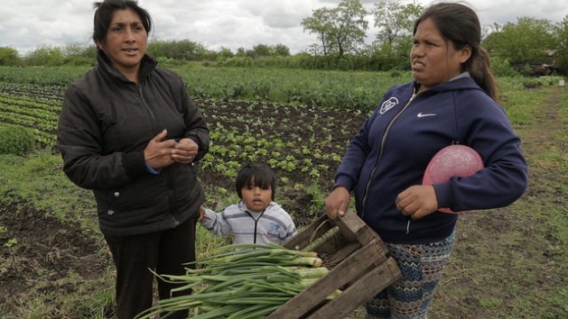 Olga Campos (left), her grandson Jhonny and her sister-in-law Limbania Limache, on the three-hectare leased plot of land where they plant organic vegetables in El Pato, 44 km south of Buenos Aires.In cold, hot or wet weather they work every day in the vegetable garden. Credit: Guido Ignacio Fontán/IPS