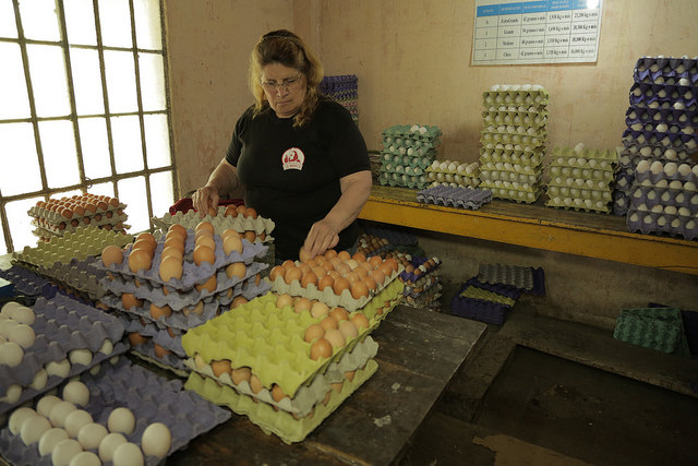 Graciela Rincón, a poultry producer, prepares the eggs to be sold on her farm in El Pato, 44 km south of Buenos Aires. Credit: Guido Ignacio Fontán/IPS