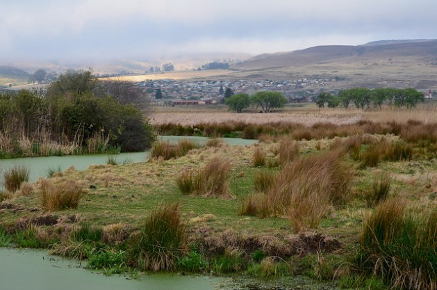 A stream meanders through a wetland in Wakkerstroom, Mpumalanga. The region is a Strategic Water Source Area, the segments of South Africa, Lesotho and Swaziland that make up 8 percent of land area but account for 50 percent of water supply. Credit: Mark Olalde/IPS
