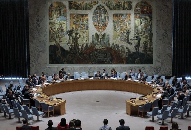 The UN Security Council. Credit: UN Photo/Evan Schneider