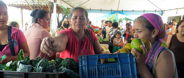 The more than 4,000 members of the Federation of Nicaraguan Women Farmers Cooperatives sell their products, many of which are organic, directly to consumers in fairs and markets. Credit: Femuprocan