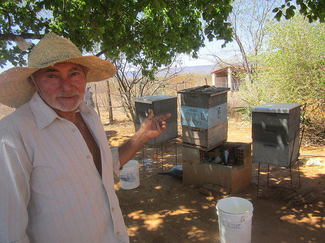 Manoel Pereira Barros shows the beehives on his small farm, now useless because the bees have left due to the drought. Honey production, one of the sources of income of many small farming families, will have to wait to be resumed until the rains return to Northeast Brazil. Credit: Mario Osava/ IPS