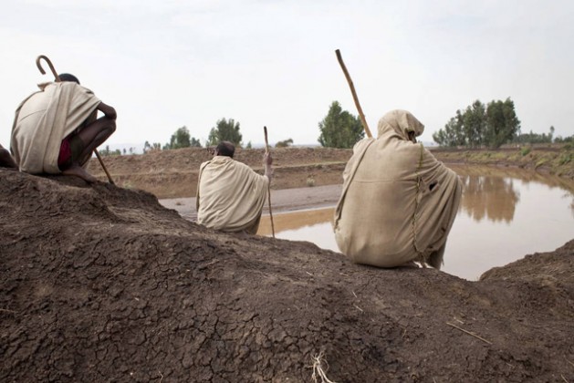 Millions of family farmers in developing countries already suffer from lack of access to freshwater. Photo: FAO
