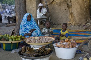 The military crackdown on Boko Haram has destroyed the economy around Lake Chad. Credit:Kristin Palitza/IPS