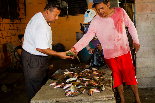 Ofilio Herrera (L) buys a kilo of fish freshly caught by Álvaro Eliseo Cruz off the coast of Isla de Méndez, a fishing village in southeastern El Salvador. Cruz caught 15 kilos of fish this day, including red porgy and mojarras, which he uses to sell in the market and feed his family. Credit: Edgardo Ayala/IPS