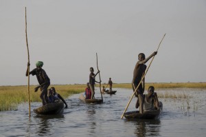 Young boys head home after fishing for a day in the swamps of Nyal, South Sudan. Credit: FAO
