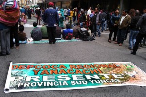 Coca leaf growers from the traditional region of Yungas, in northwest Bolivia, surround the legislature in the city of La Paz, demanding an expansion of the legal cultivation area by the new law. Credit: Franz Chávez.