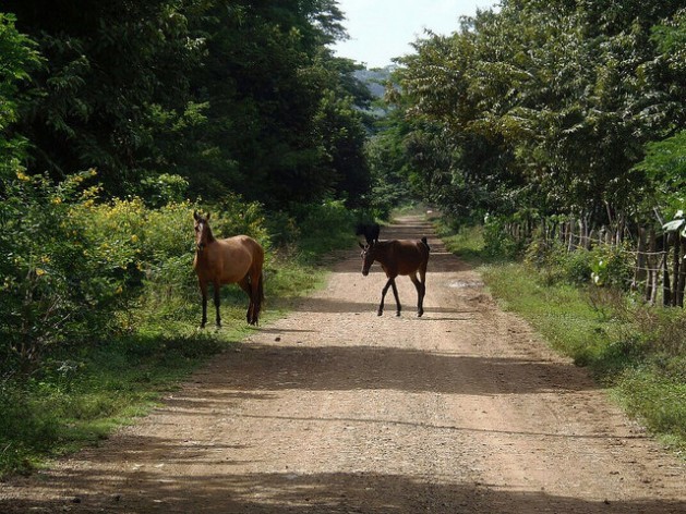 In April 2017, three years after this road was created to mark the official start of the construction of the Great Nicaraguan Interoceanic Canal in Brito, on the country’s Pacific ocean western coast, it remains unpaved, and is only used by horses from nearby farms. Credit: José Adán Silva/ IPS