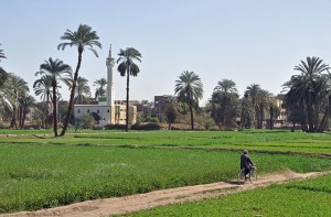 Egyptian countryside south of Luxor, Egypt. In the background: the village of Al Bayadiyah. Photo: Marc Ryckaert (MJJR). Creative Commons Attribution 3.0 Unported license.