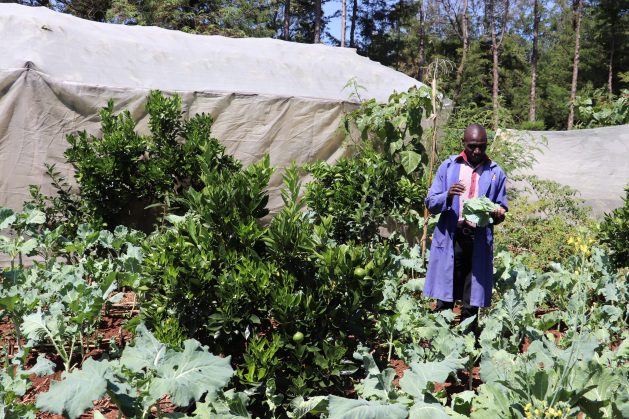 Samson Tanui, from Kenya’s Eldoret town in the Rift Valley region, is practising agroecology and his permaculture unit has become the centre of attraction for farmers from near and afar amid food shortages during the current COVID-19 pandemic. Credit: Isaiah Esipisu/IPS