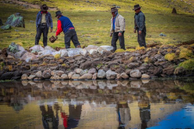 Local residents of Churia, a village of some 25 families at more than 3,100 meters above sea level in the highlands of the Peruvian department of Ayacucho, are building simple dikes to fill ponds with water to irrigate their crops, water their animals and consume at home. CREDIT: Courtesy of Huñuc Mayu