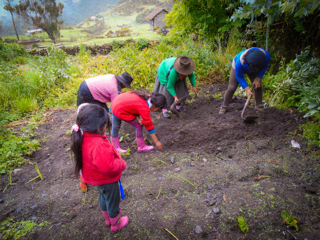Women from several Andean highlands communities in Ayacucho, Peru, have played a very active role in harvesting water, including protecting the headwaters of streams. In the picture, a group of women and girls are involved in a community activity in Oronccoy, a village about 3,200 meters above sea level. CREDIT: Courtesy of Huñuc Mayu