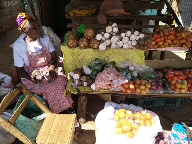 A woman farmer selling her produce at a local market in Casamence, southern Senegal. In sub-Saharan Africa, 90 percent of those in informal employment, which is typically low-skilled with poor working conditions, are women. Credit: Stella Paul/IPS
