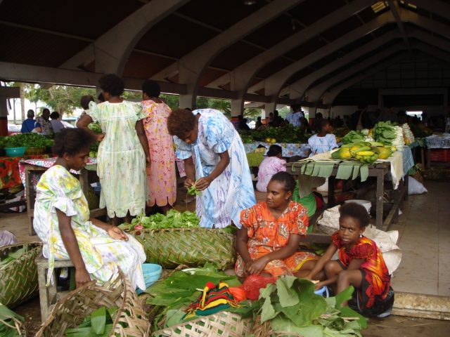 The distinctive fashionable and sustainable coconut carry bags will be sold at public venues in Port Vila, such as fresh produce markets, Vanuatu. Credit: Catherine Wilson/IPS